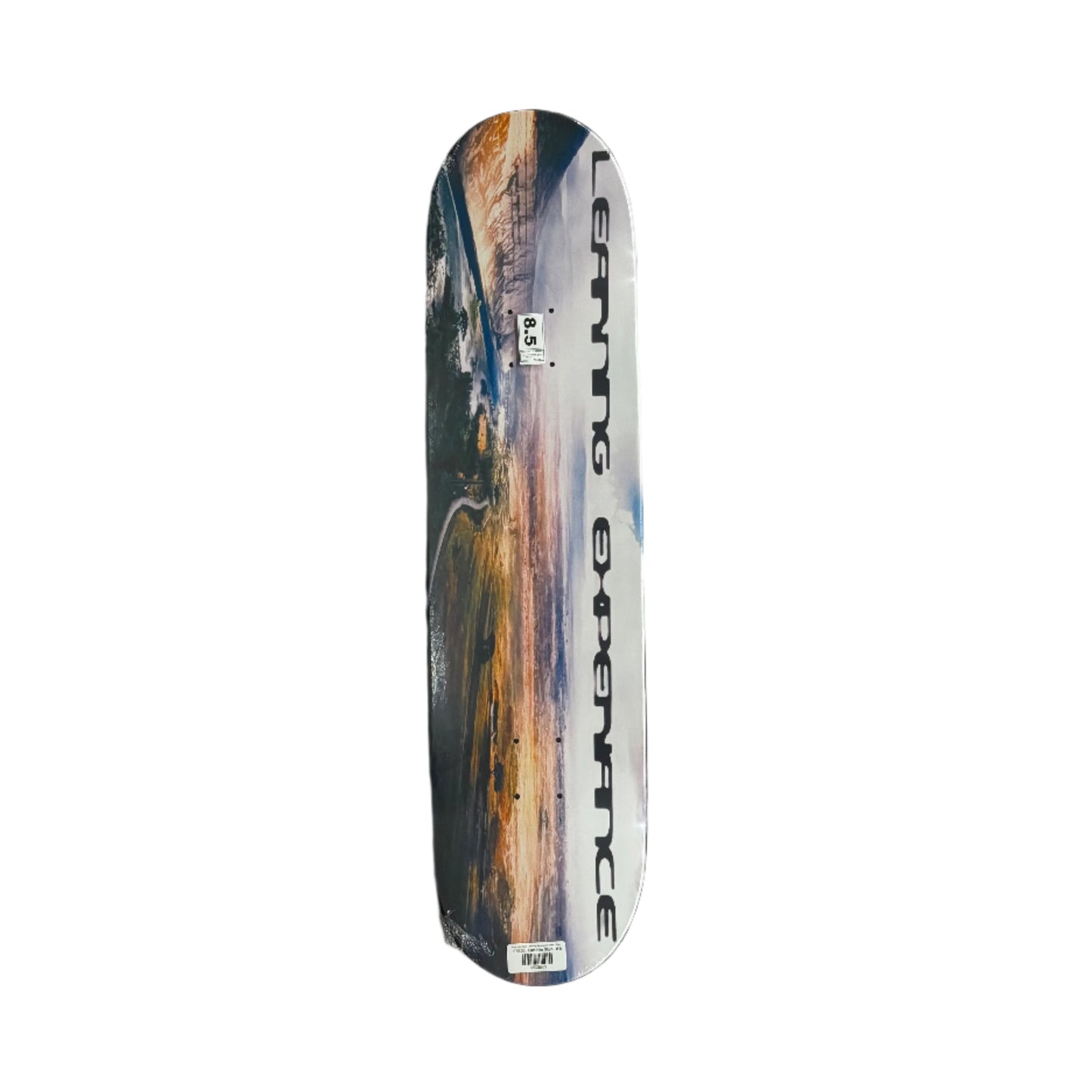 skateboard deck top with a scenic design on a gray surface