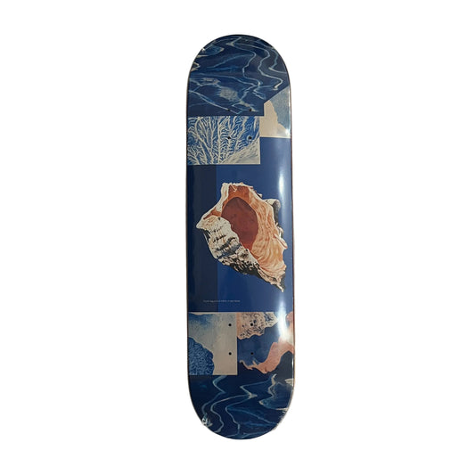 A skateboard deck with a blue and white collage design featuring a large conch shell graphic, displayed flat on a white surface