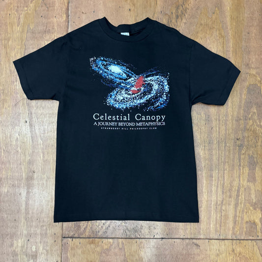 view of center chest graphic of CELESTIAL CANOPY graphic of black t-shirt