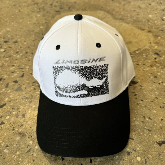 white hat silver text with a black graphic and black bill