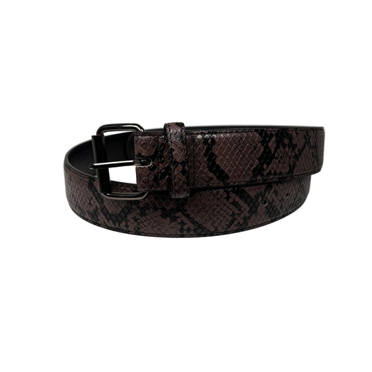 brown Snake print belt with black buckle on a light gray background