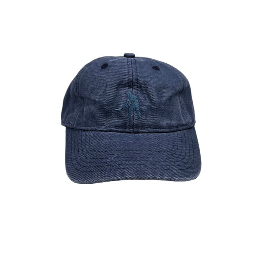 Blue cap on a white background