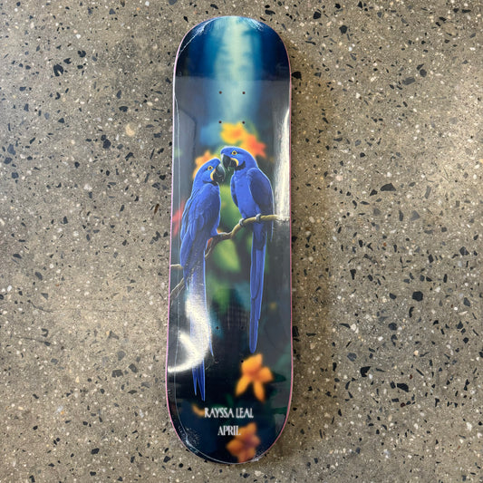 blue macaws with orange flowers on skate deck