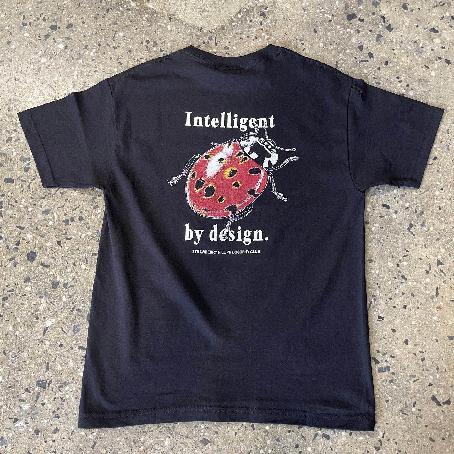 Strawberry Hill Philosophy Club Intelligent By Design T-Shirt Black
