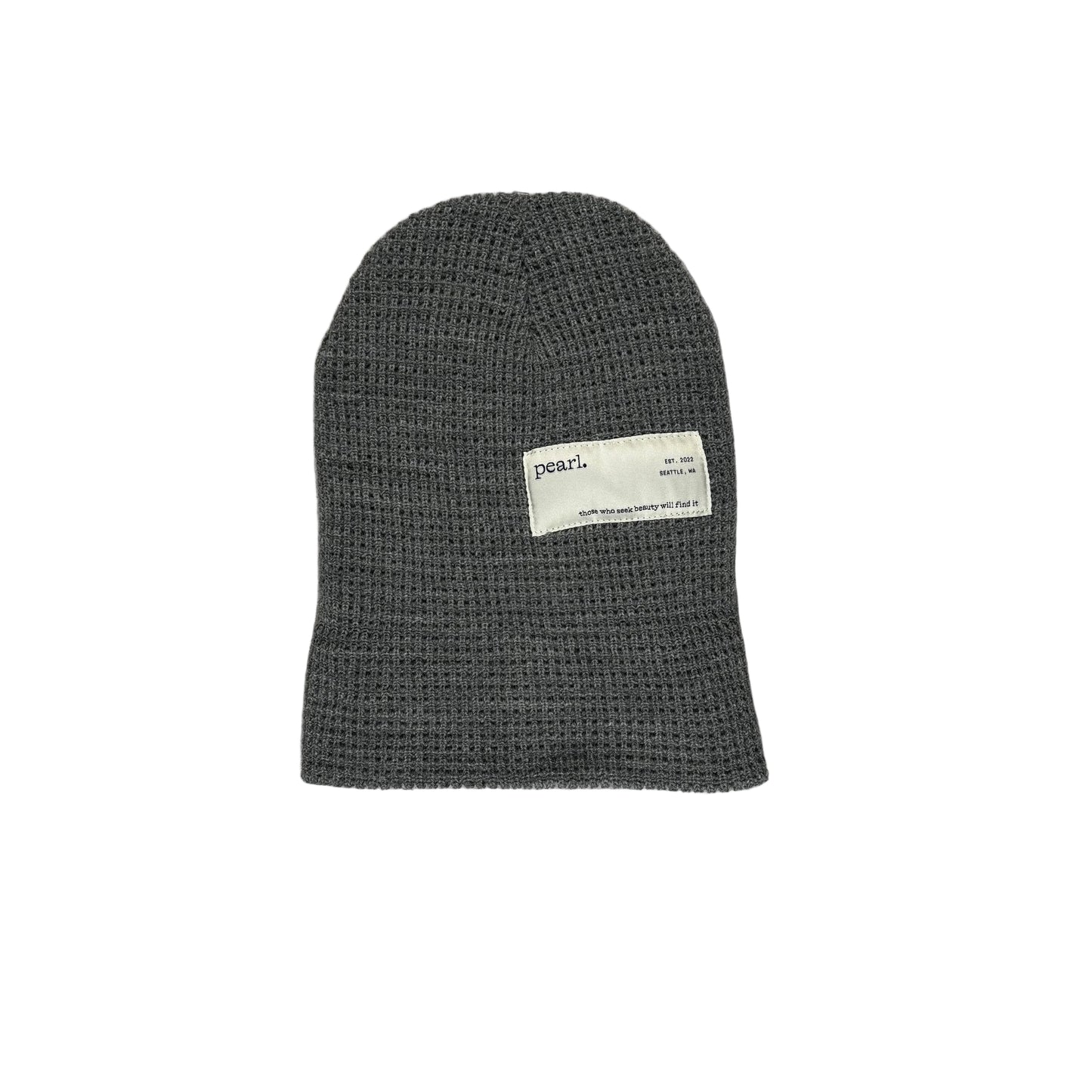 Dark gray knit beanie, unfolded, with label visible, on a white surface