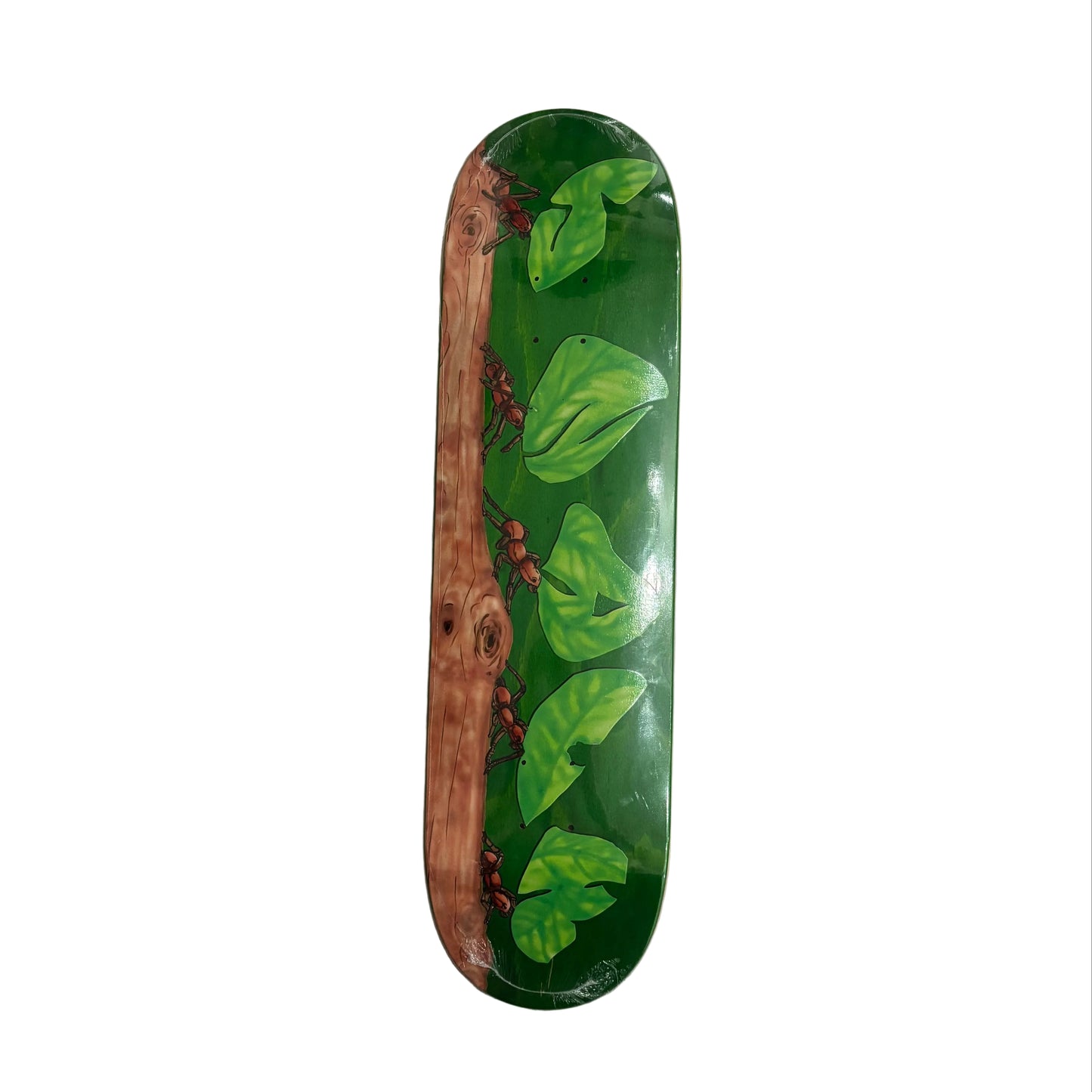 Skateboard deck with nature-themed design on a white surface