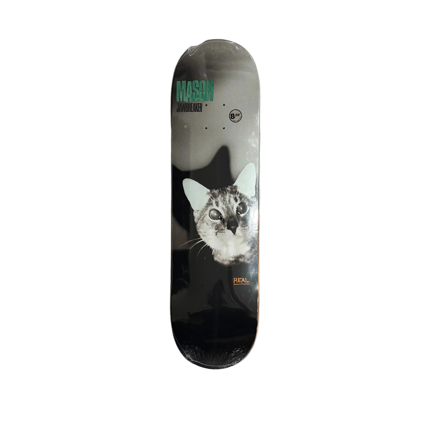 photo of cat on bottom of skateboard deck on white background